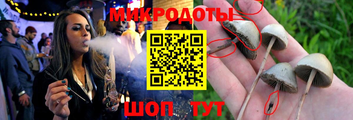 Псилоцибиновые грибы мухоморы  Вход с VPN  Пушкино  Псилоцибиновые грибы ЛСД 